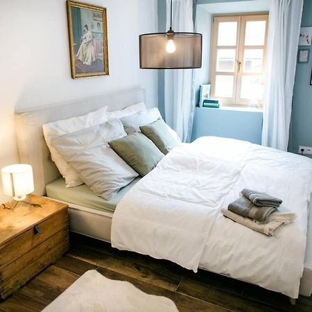 Apartment Aussee- Beletage Salzherrenhof- Kueche, Wlan, Netflix Bad Aussee Dış mekan fotoğraf