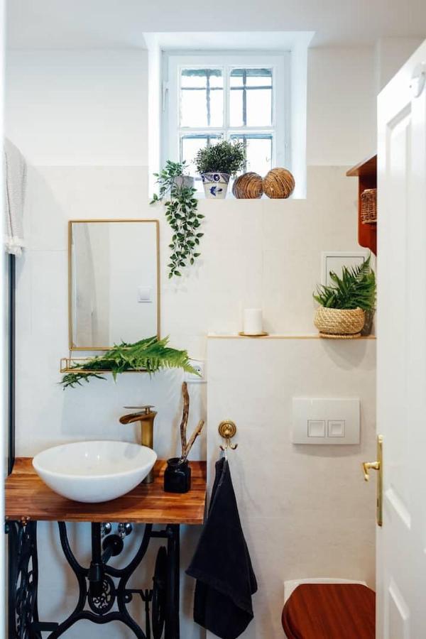 Apartment Aussee- Beletage Salzherrenhof- Kueche, Wlan, Netflix Bad Aussee Dış mekan fotoğraf