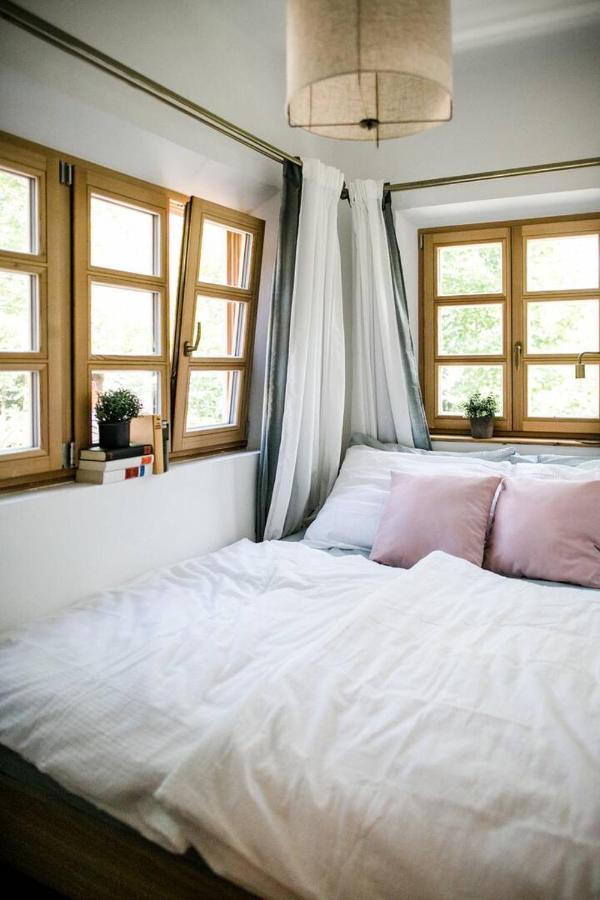 Apartment Aussee- Beletage Salzherrenhof- Kueche, Wlan, Netflix Bad Aussee Dış mekan fotoğraf