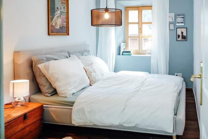 Apartment Aussee- Beletage Salzherrenhof- Kueche, Wlan, Netflix Bad Aussee Dış mekan fotoğraf